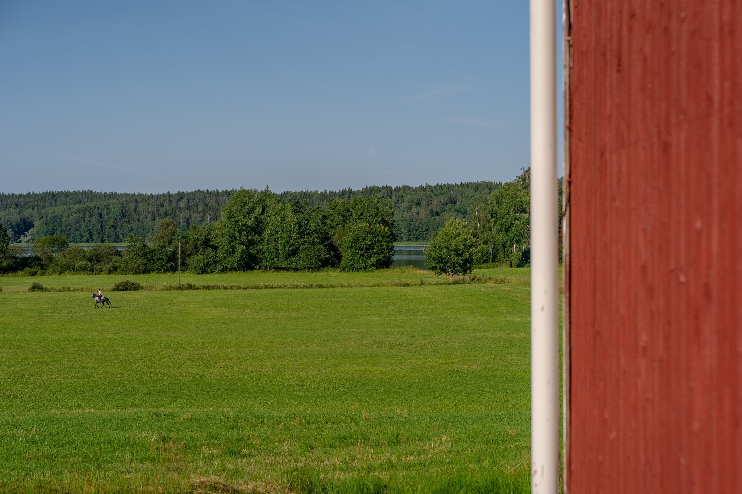 Kohdekuva 46