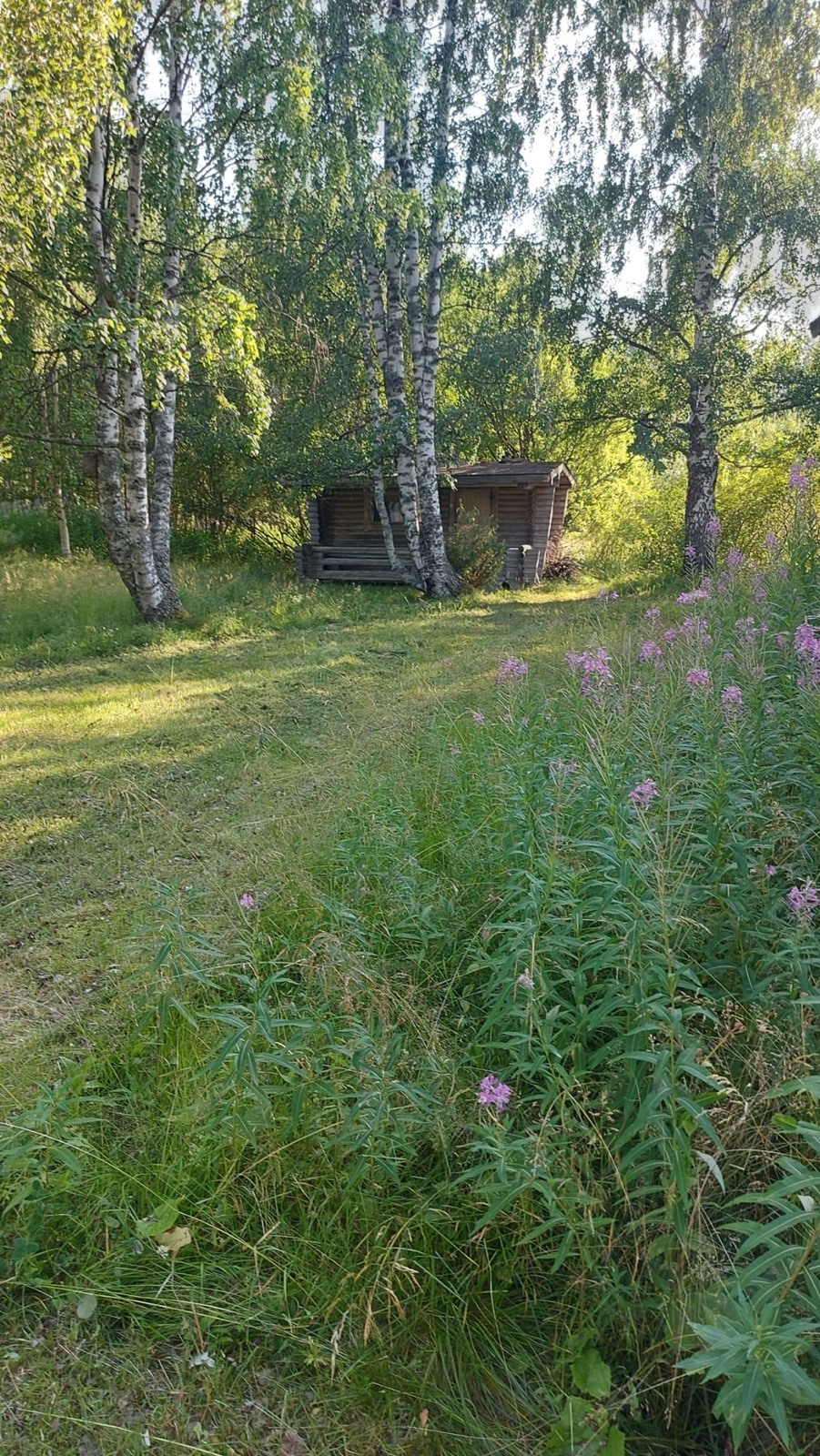 Kohdekuva 3