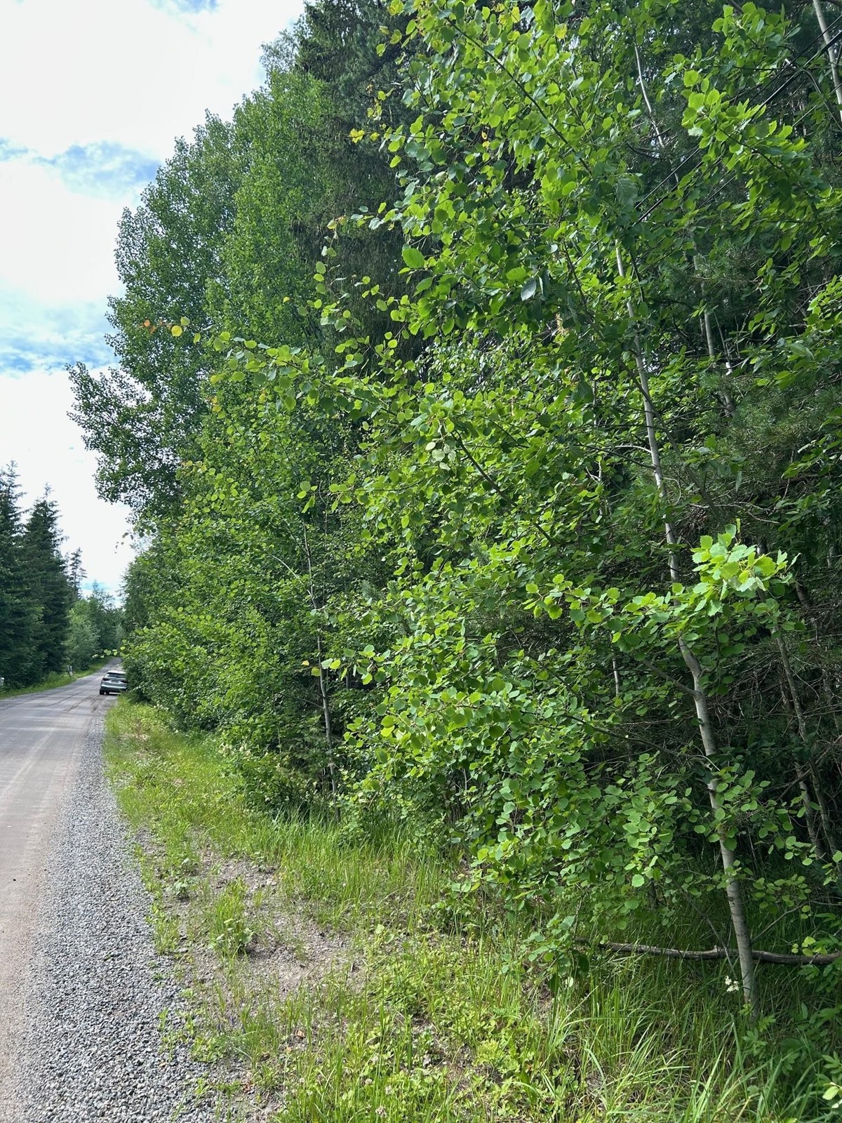 Kohdekuva 1