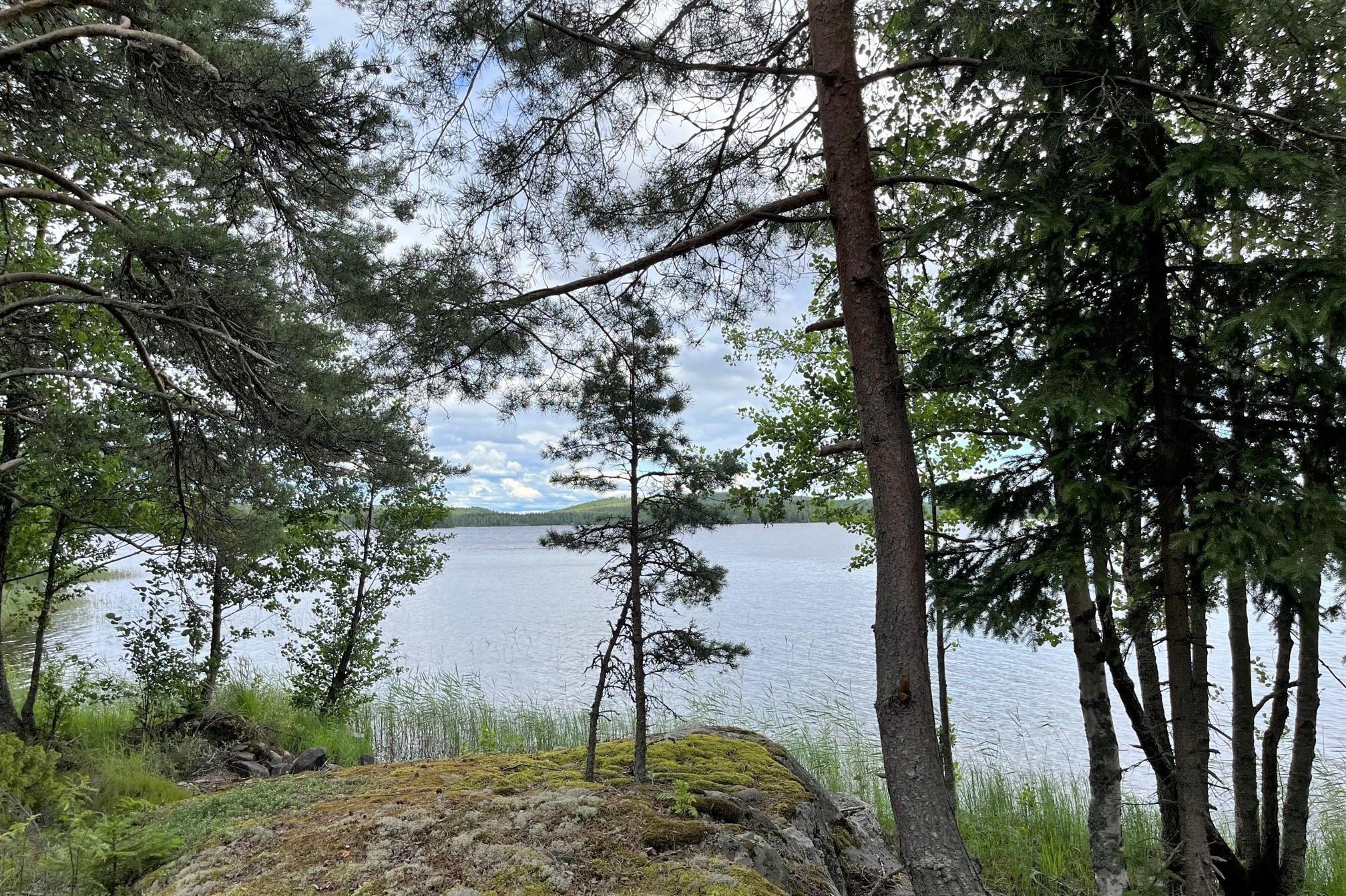 Kohdekuva 12