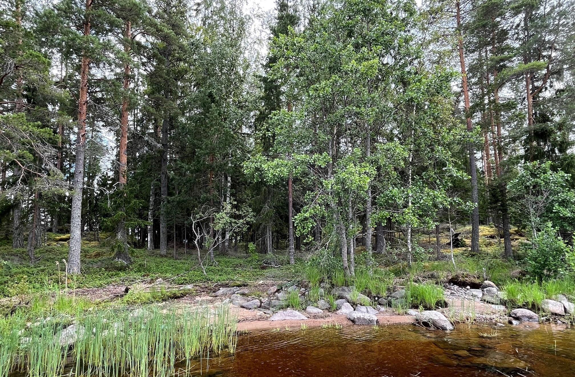 Kohdekuva 8