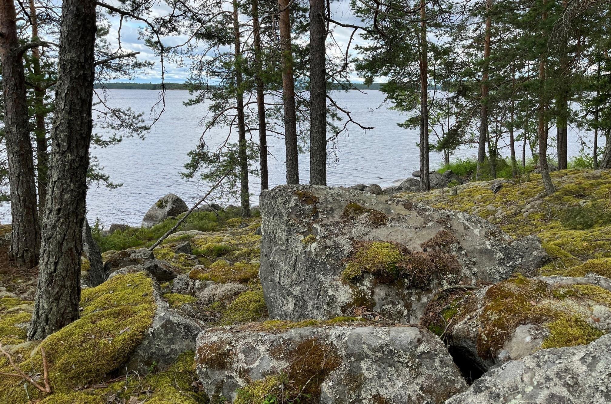 Kohdekuva 18