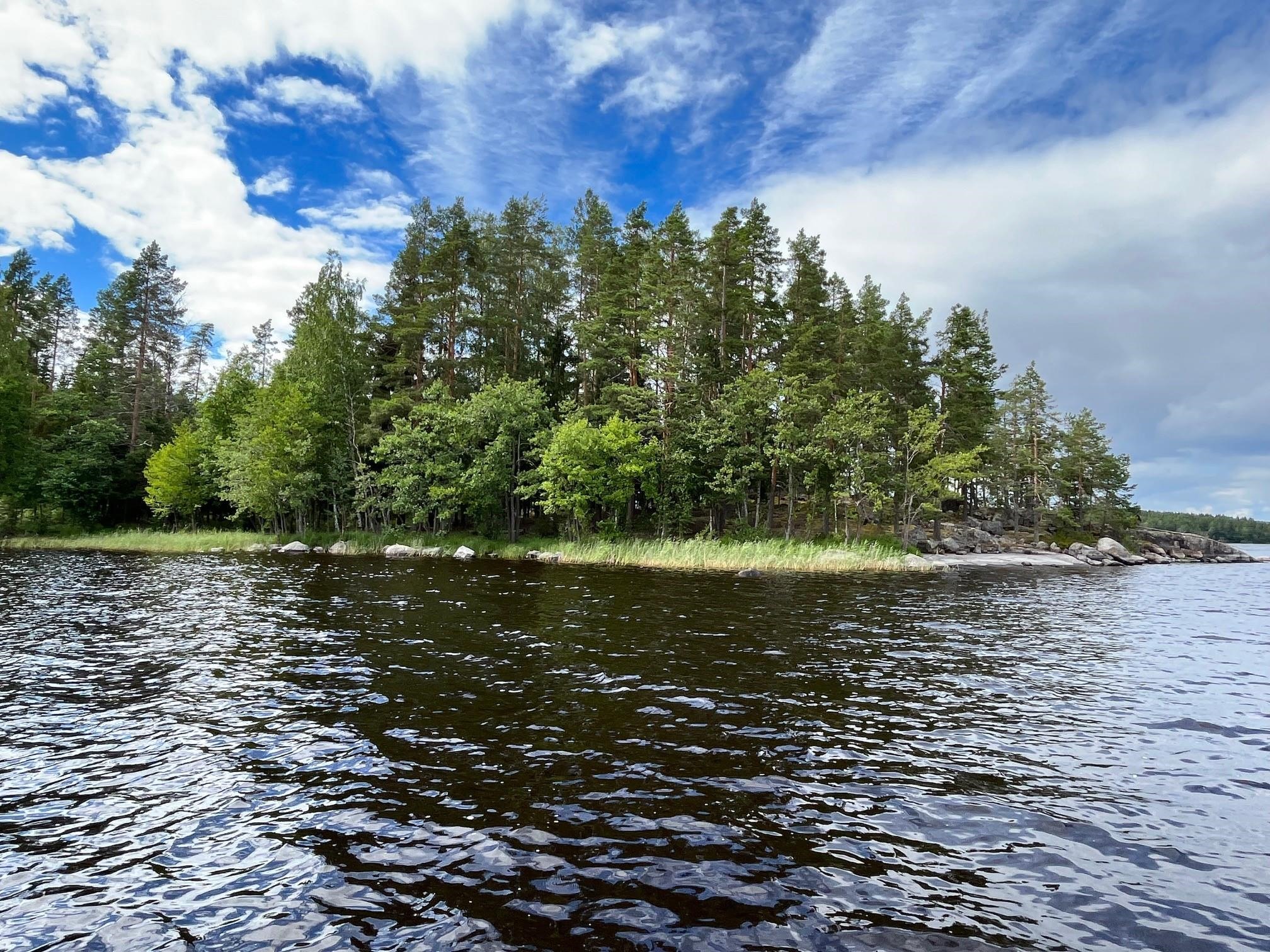 Kohdekuva 7