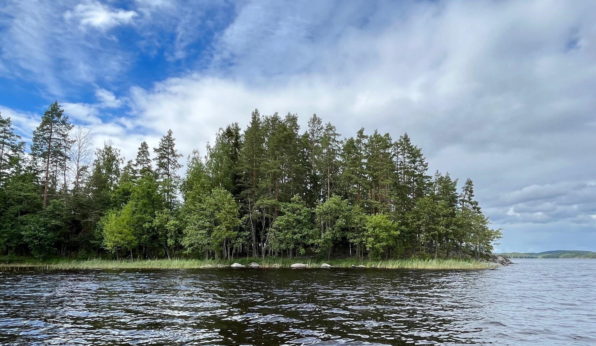 Kohdekuva 5
