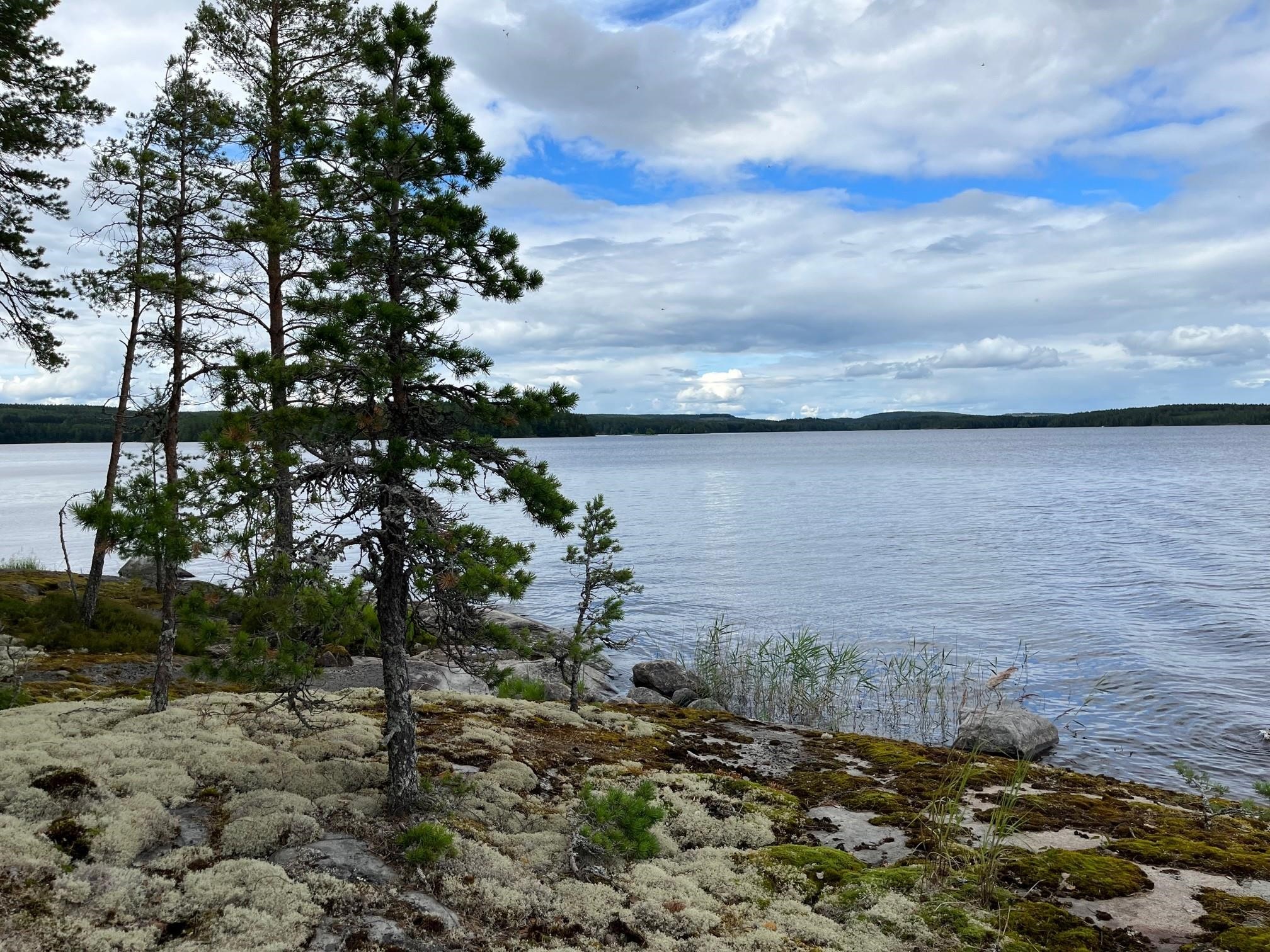 Kohdekuva 22