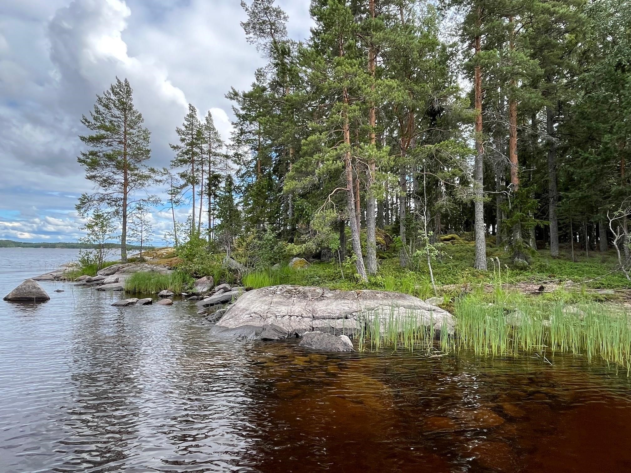 Kohdekuva 10