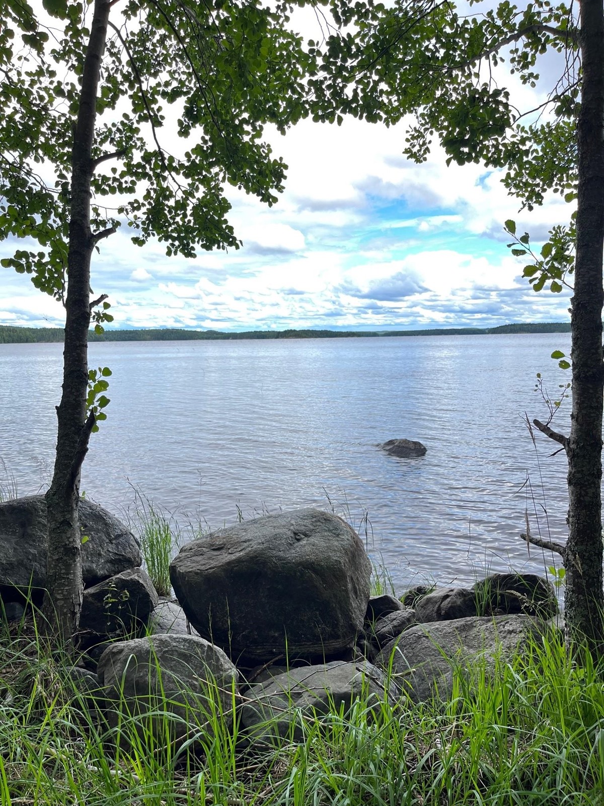 Kohdekuva 15