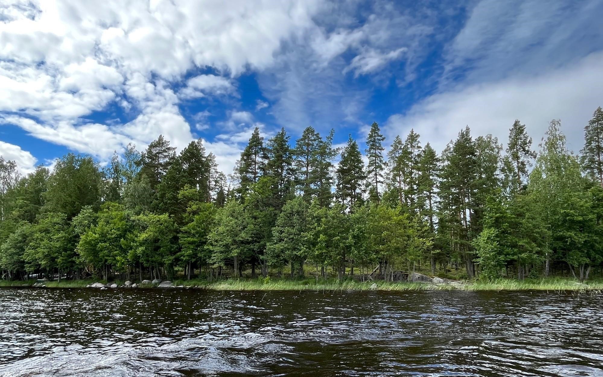Kohdekuva 6