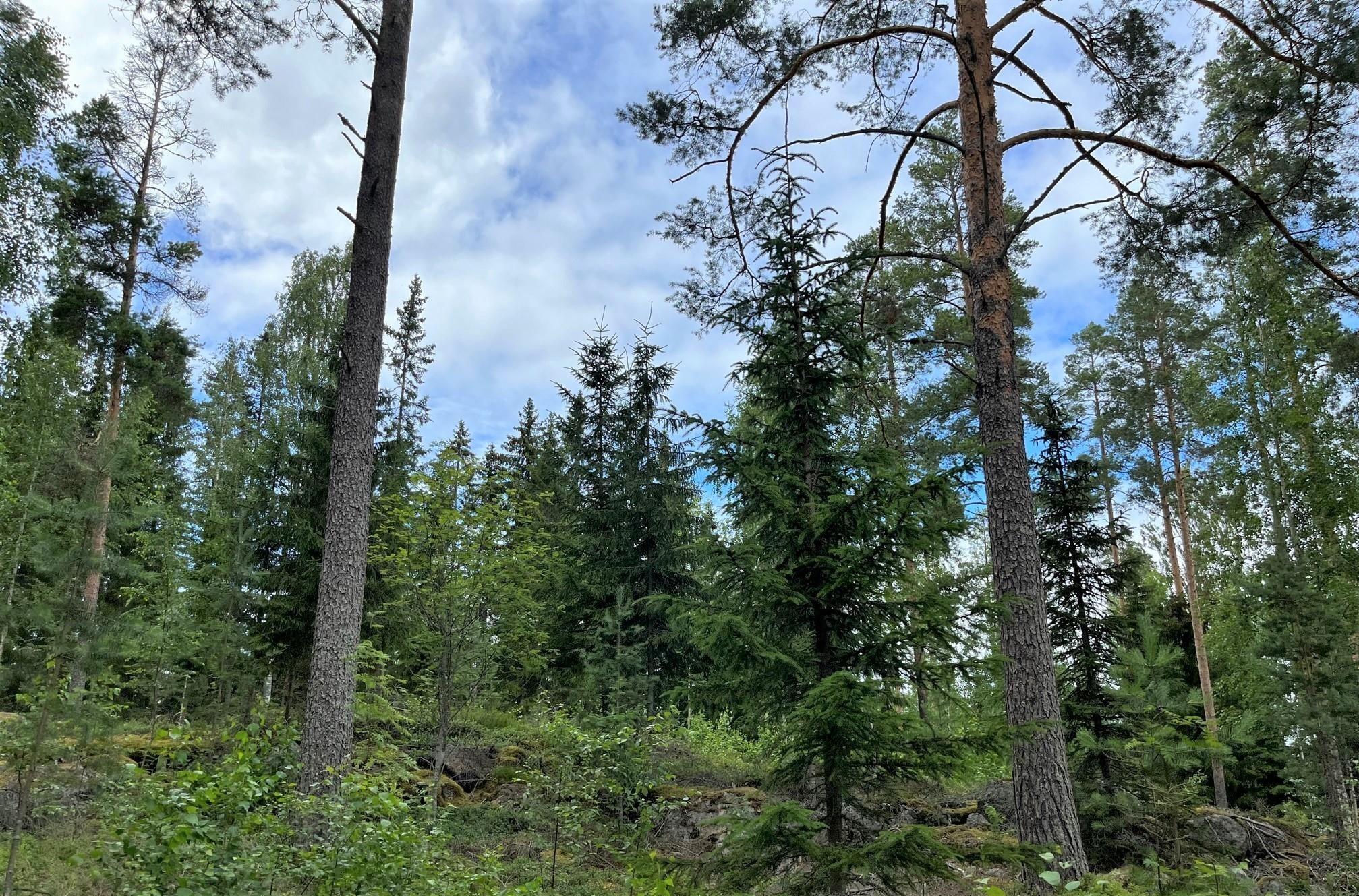 Kohdekuva 14