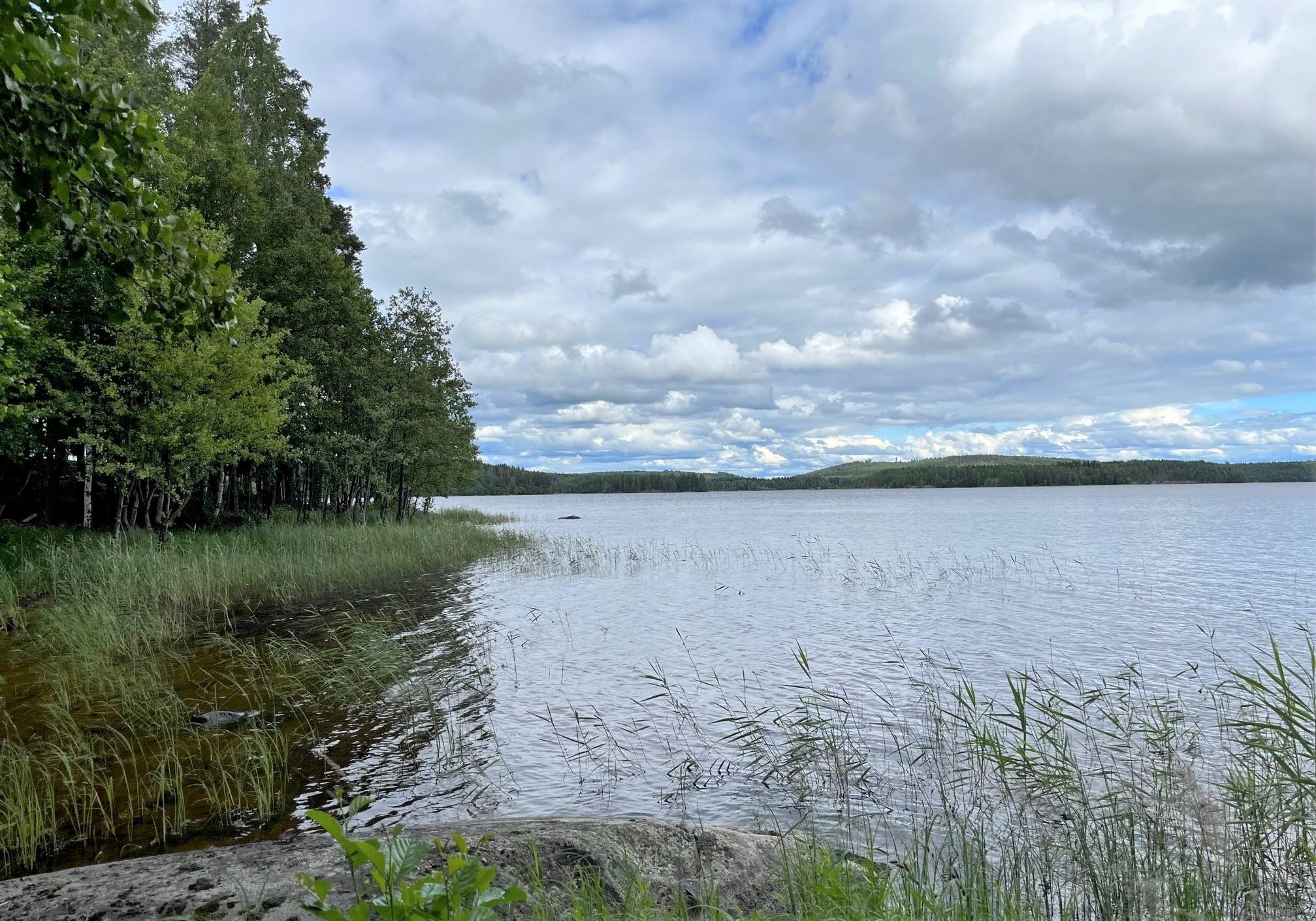 Kohdekuva 11