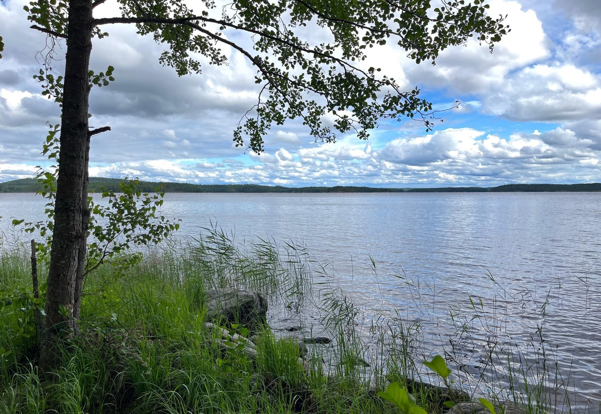 Kohdekuva 4