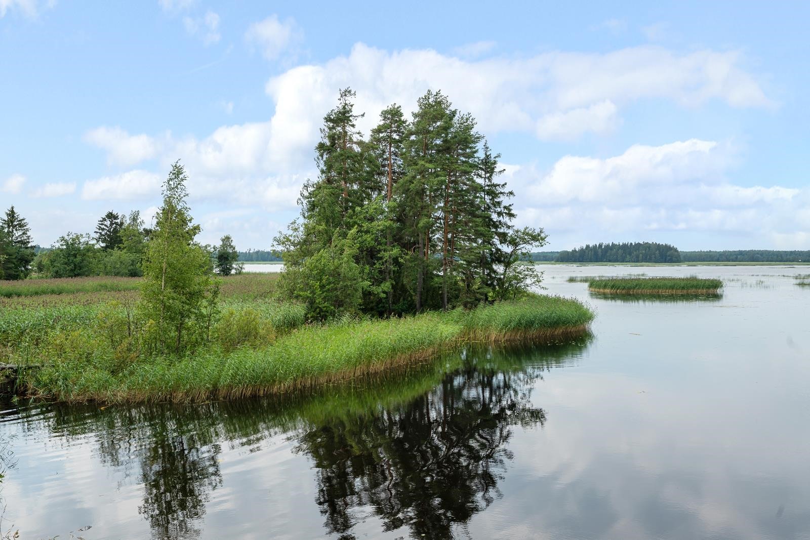 Kohdekuva 14