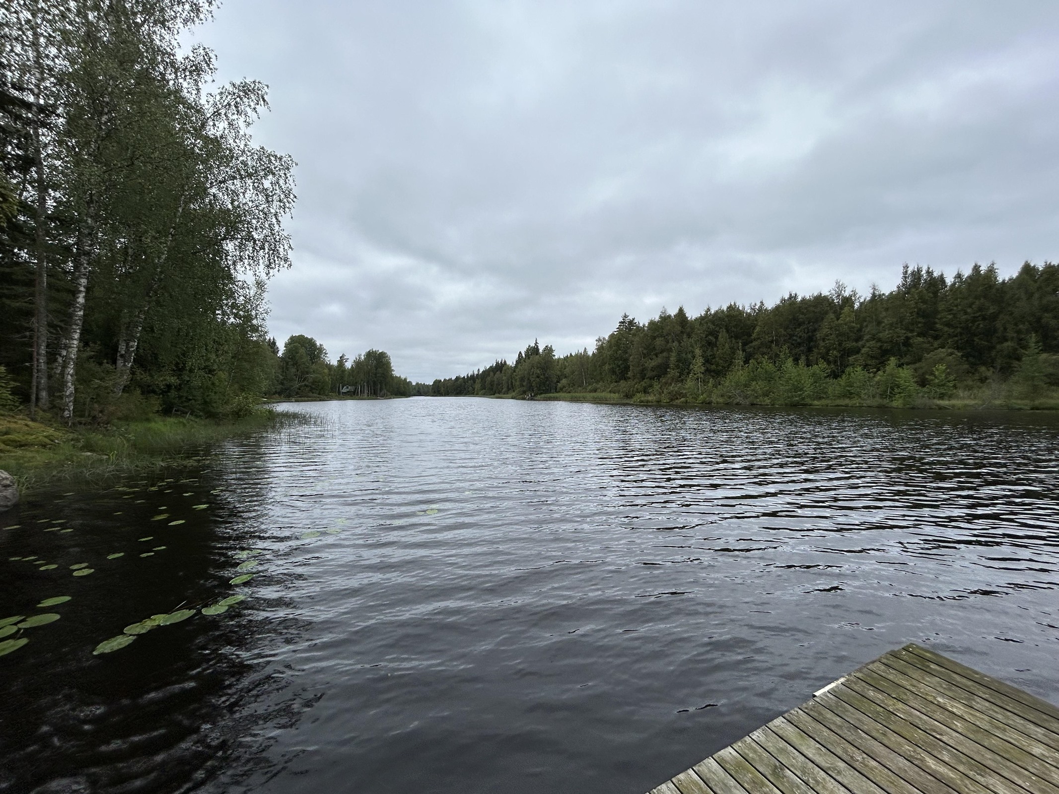 Kohdekuva 15