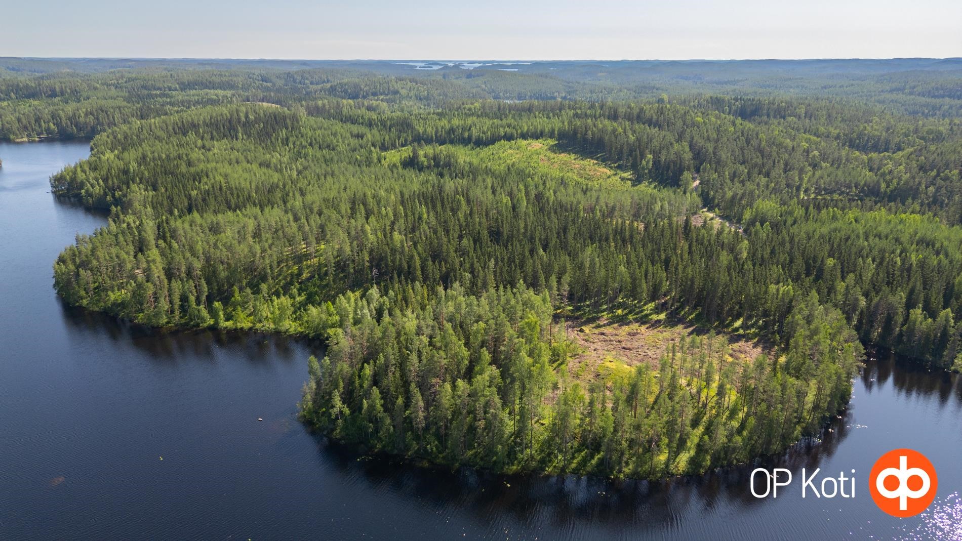 Kuva Kalpjärveltä tontille