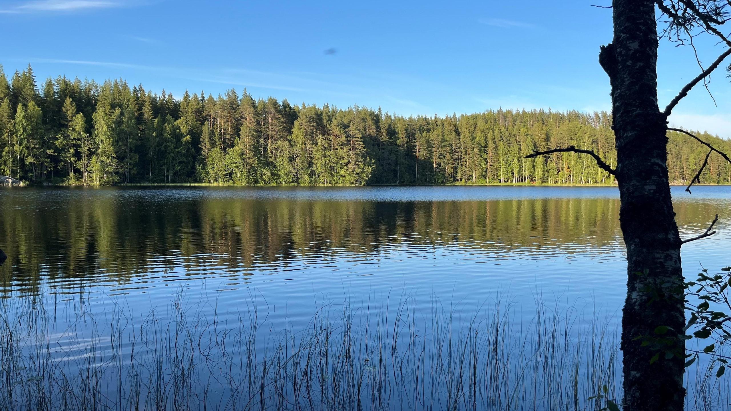 Kuva rannasta itään