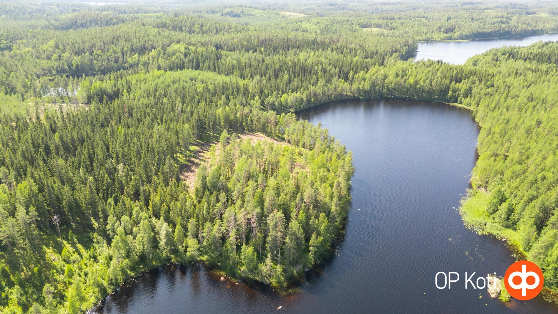 Kuva Kalpjärveltä tontille
