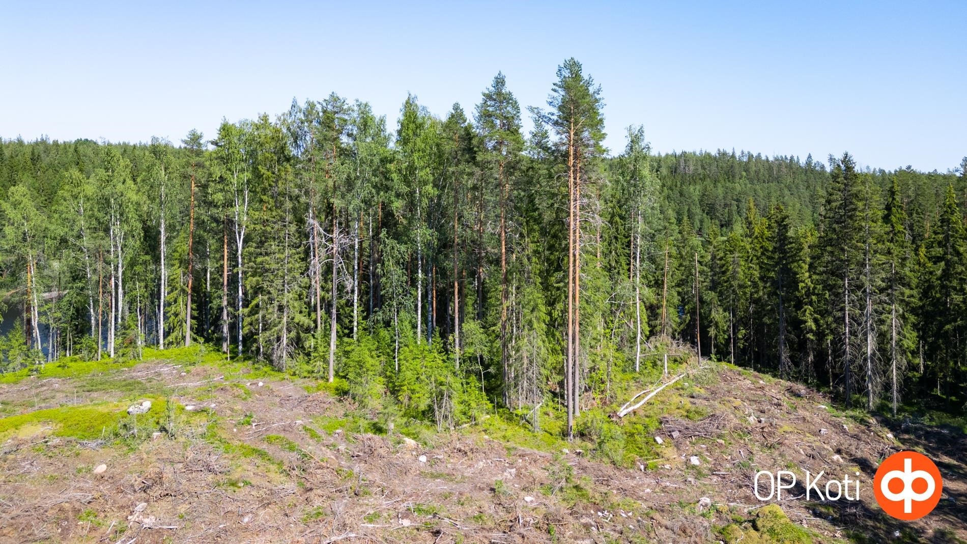 Yleiskuvaa tontista