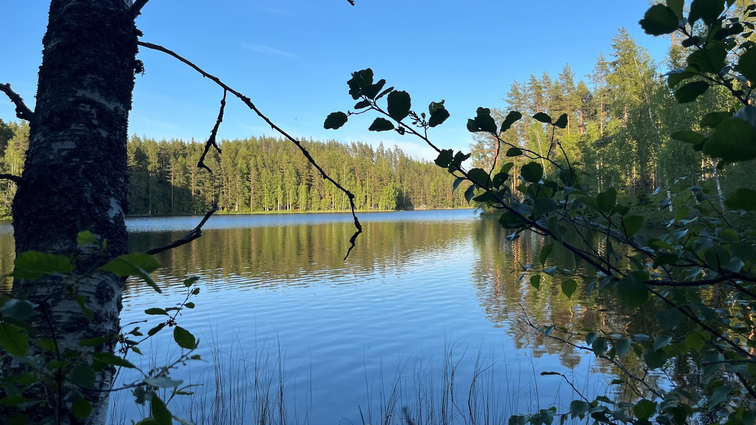 Kuva rannasta etelään