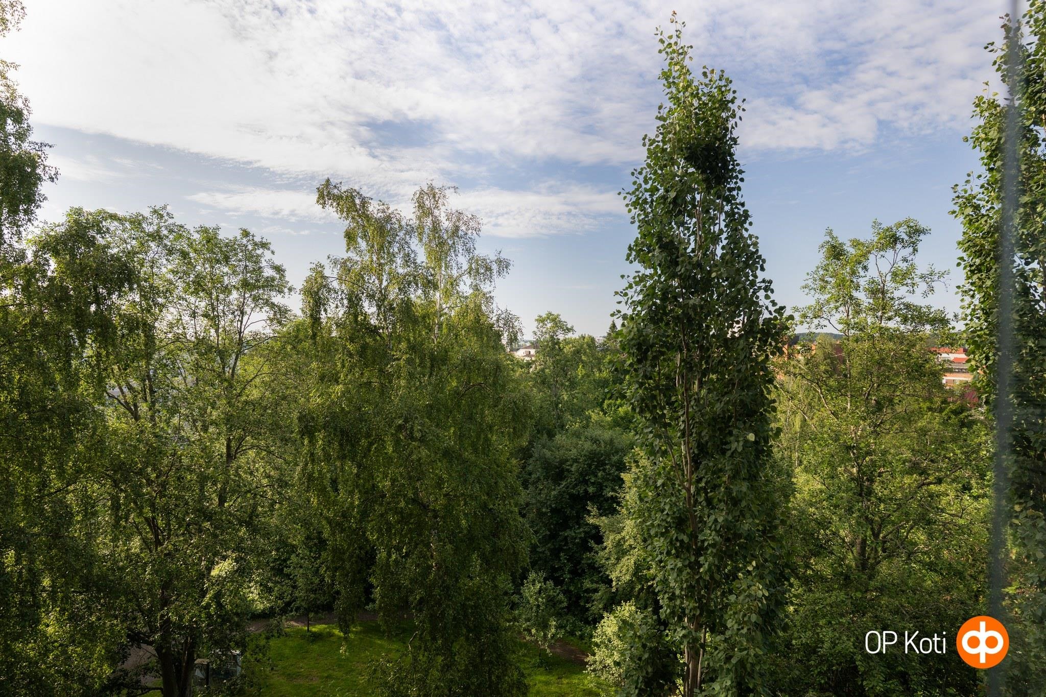 Kohdekuva 16