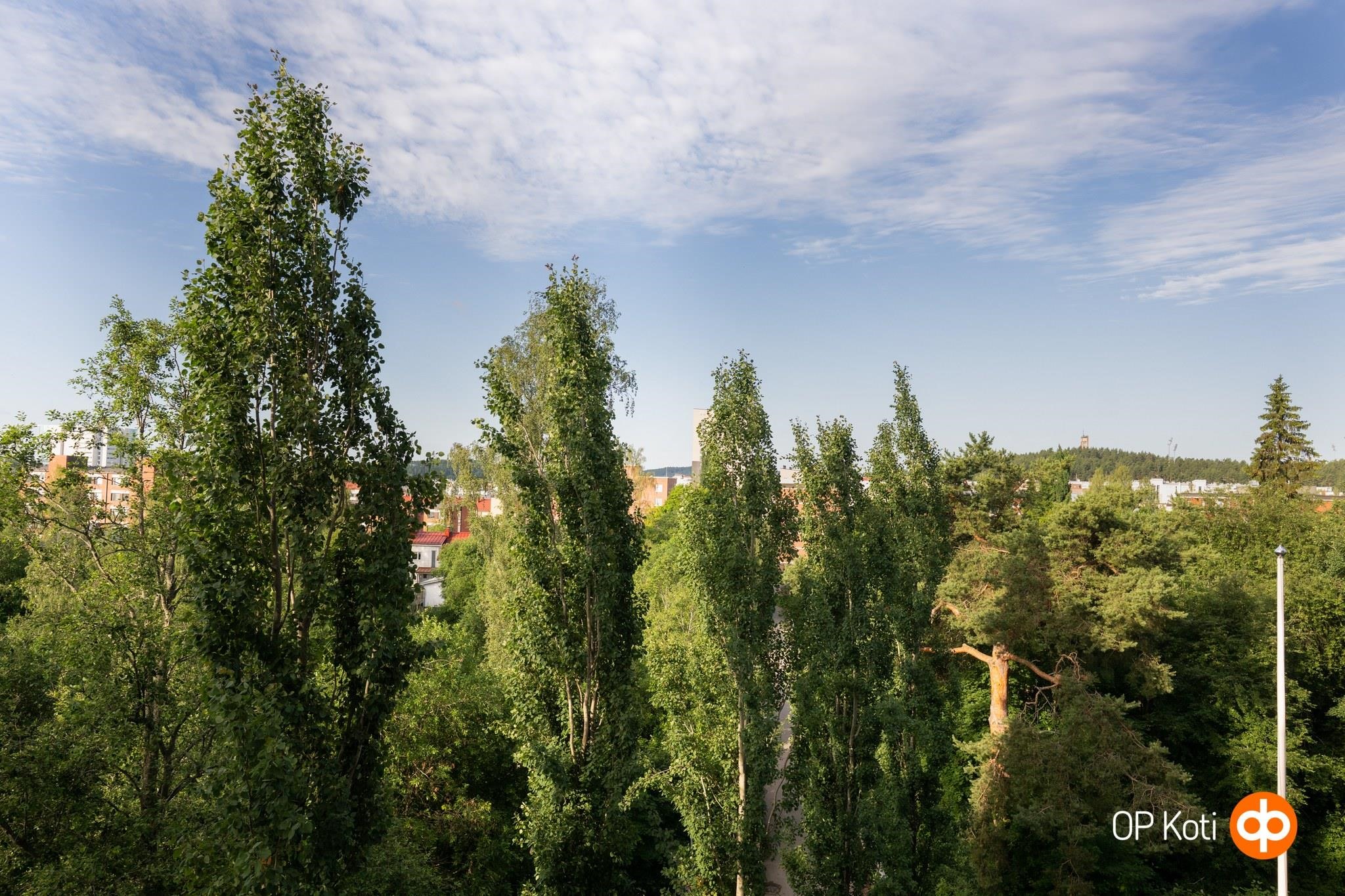 Kohdekuva 15