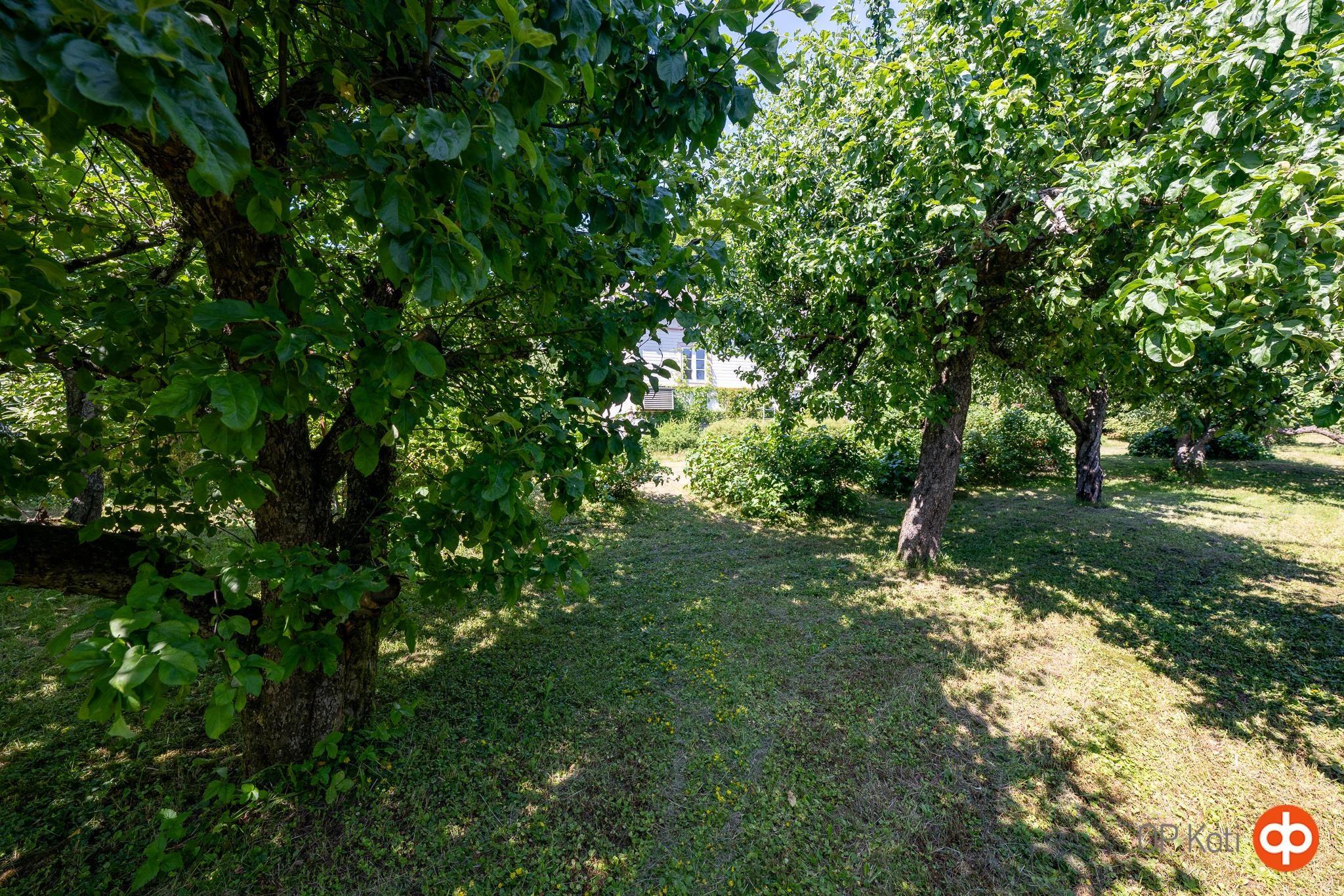 Kohdekuva 46