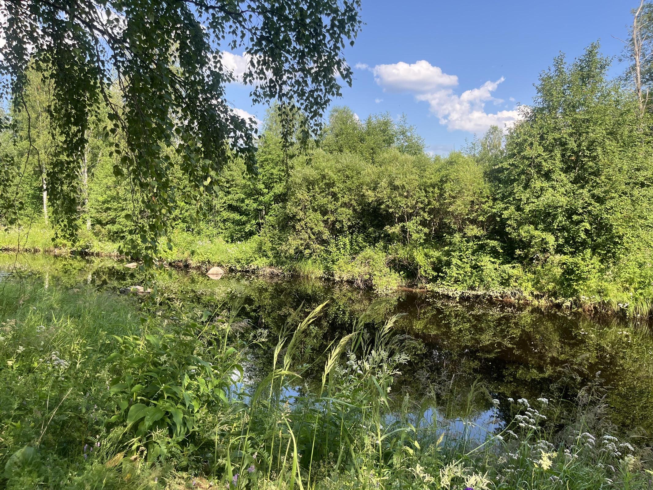 Jokimaisema