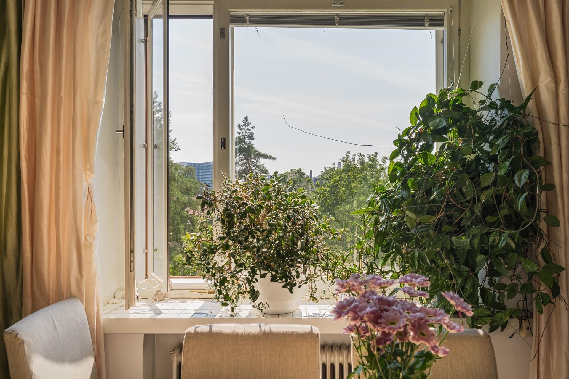 Kohdekuva 4