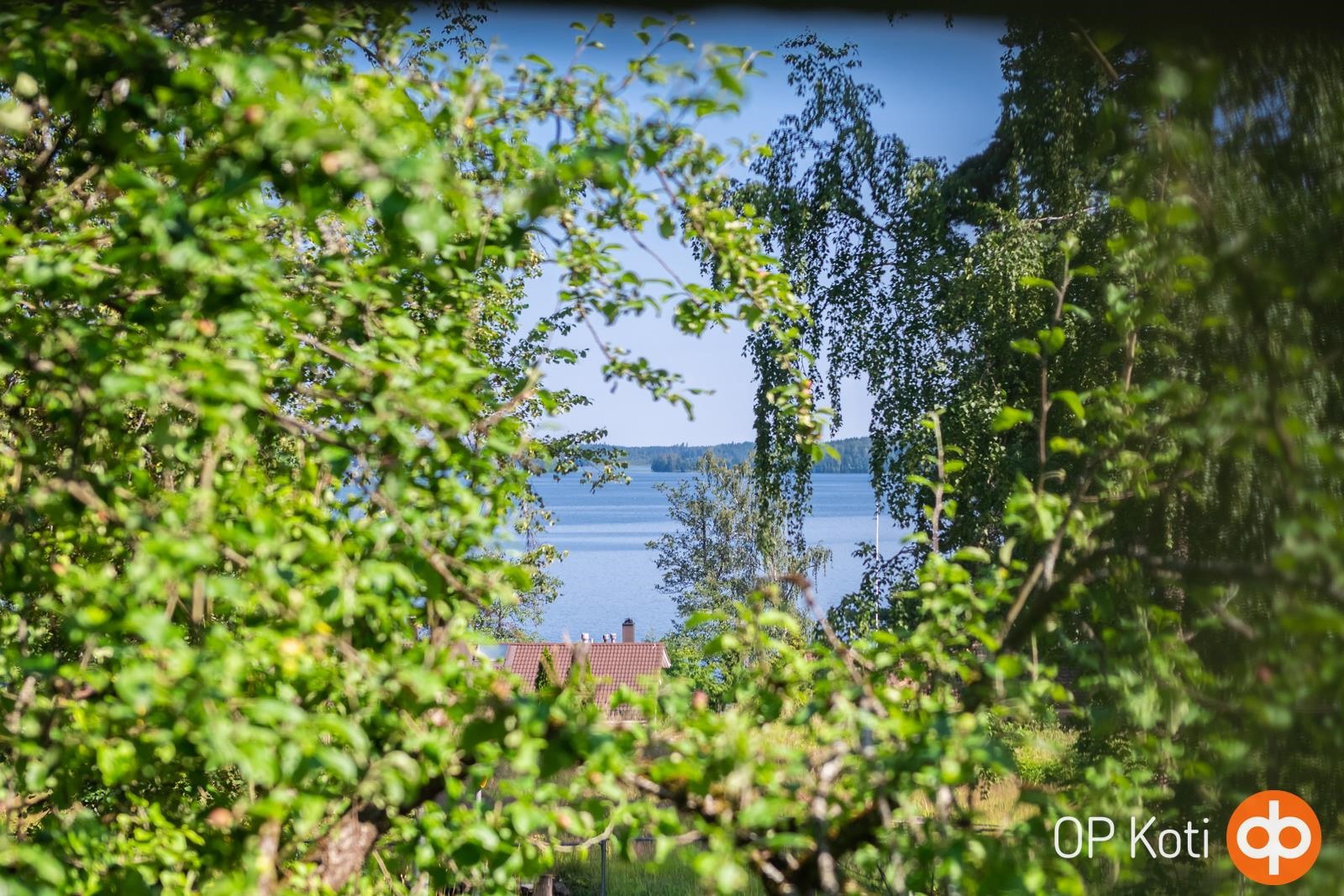 Kohdekuva 36