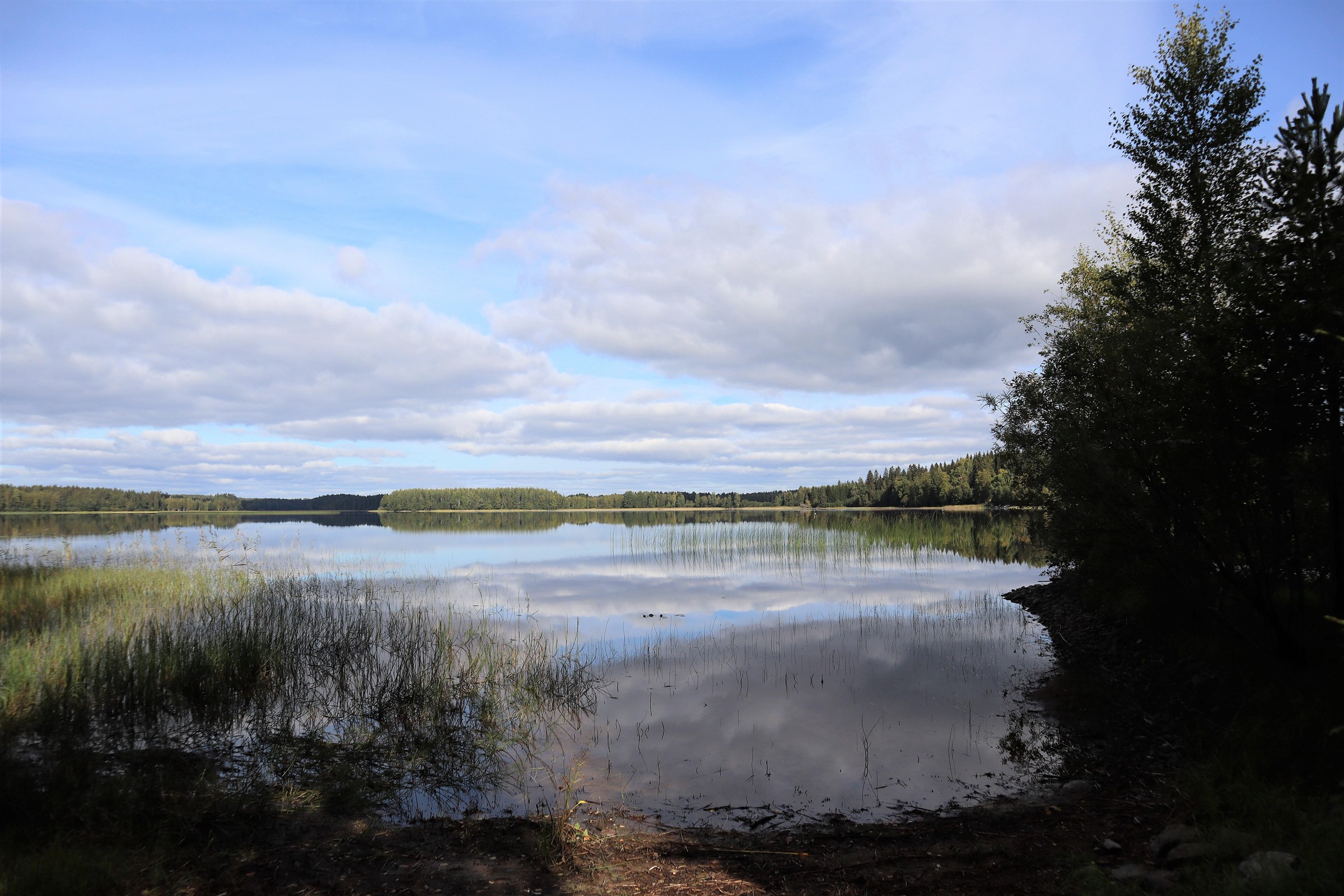 Kohdekuva 33