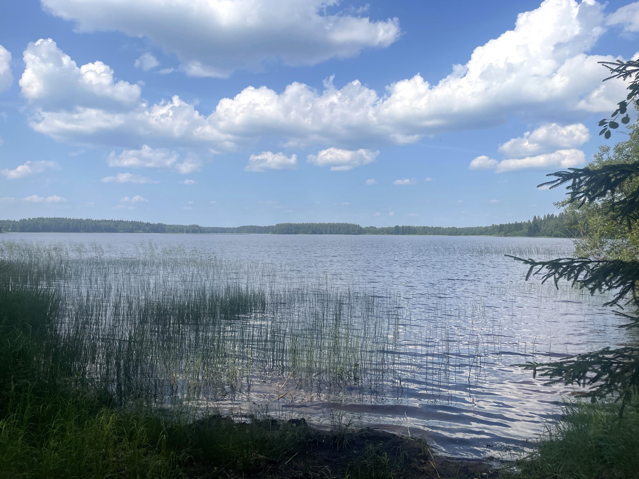 Kohdekuva 31