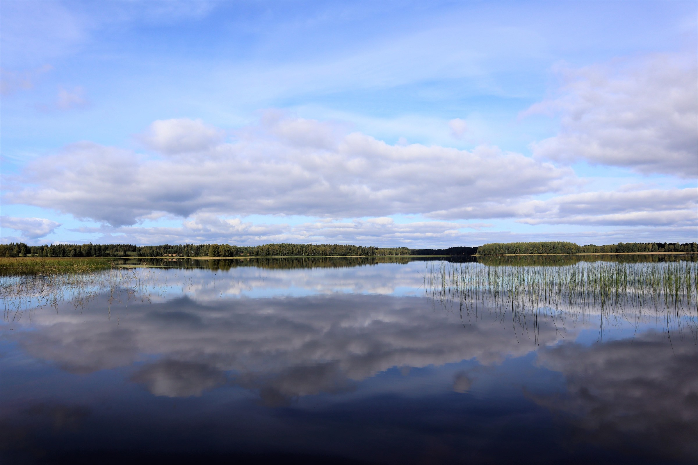 Kohdekuva 35