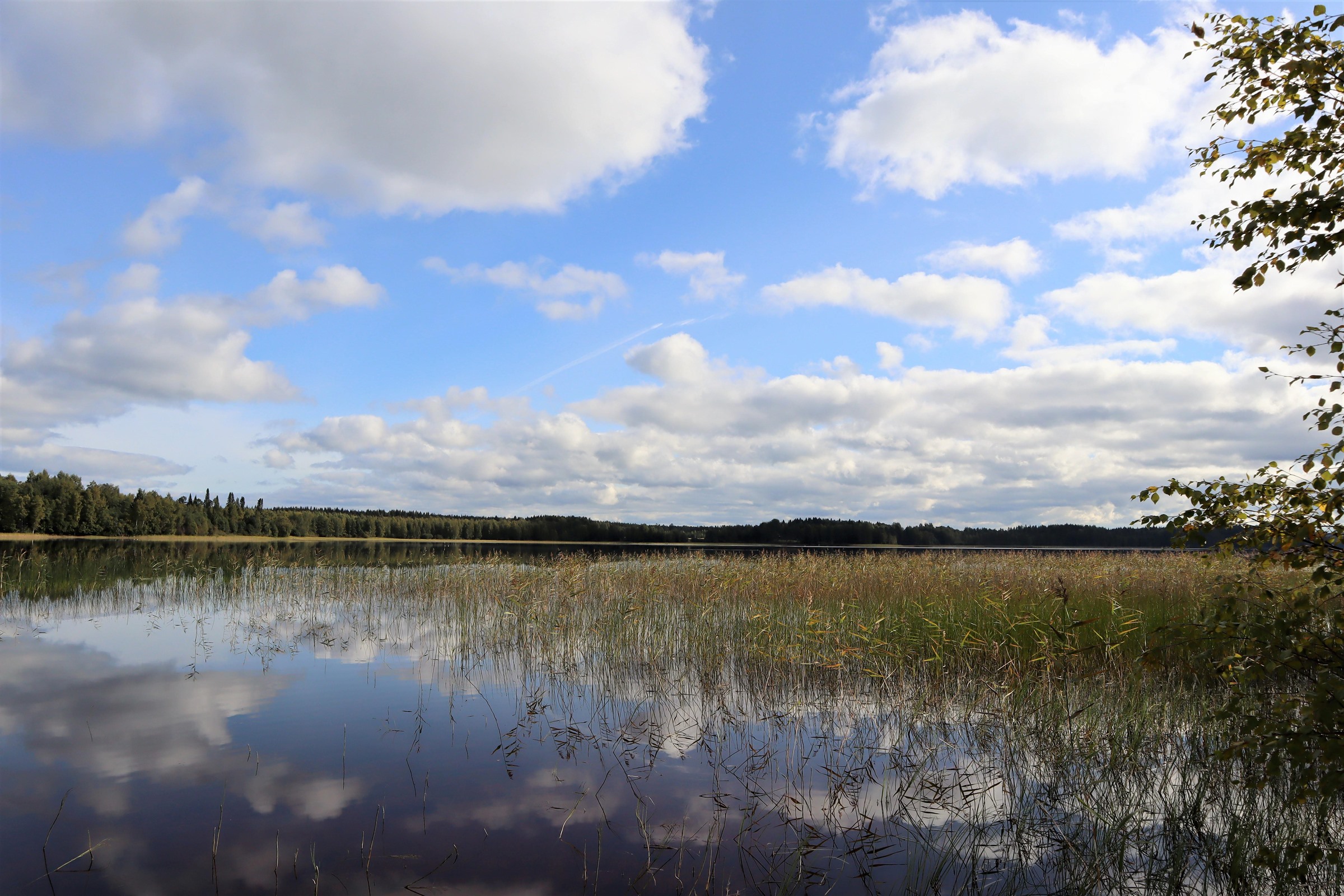 Kohdekuva 34
