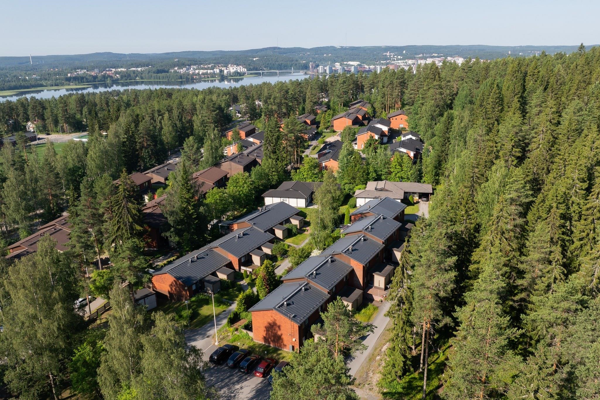 Kohdekuva 24