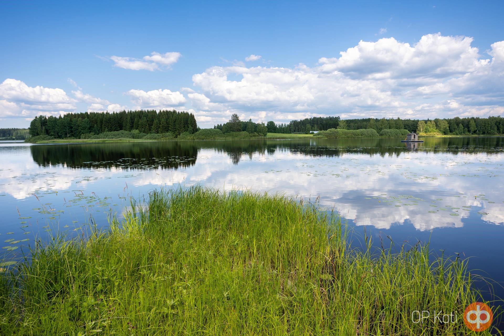 Kohdekuva 31