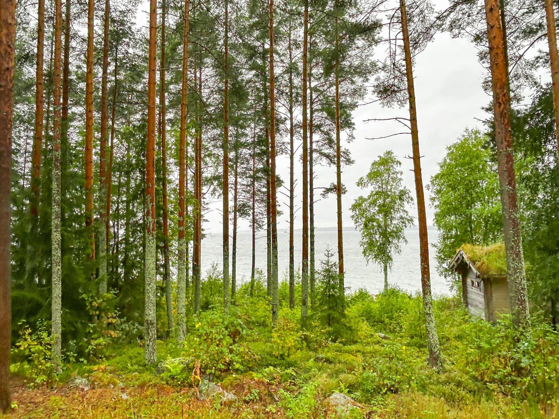 Kohdekuva 34