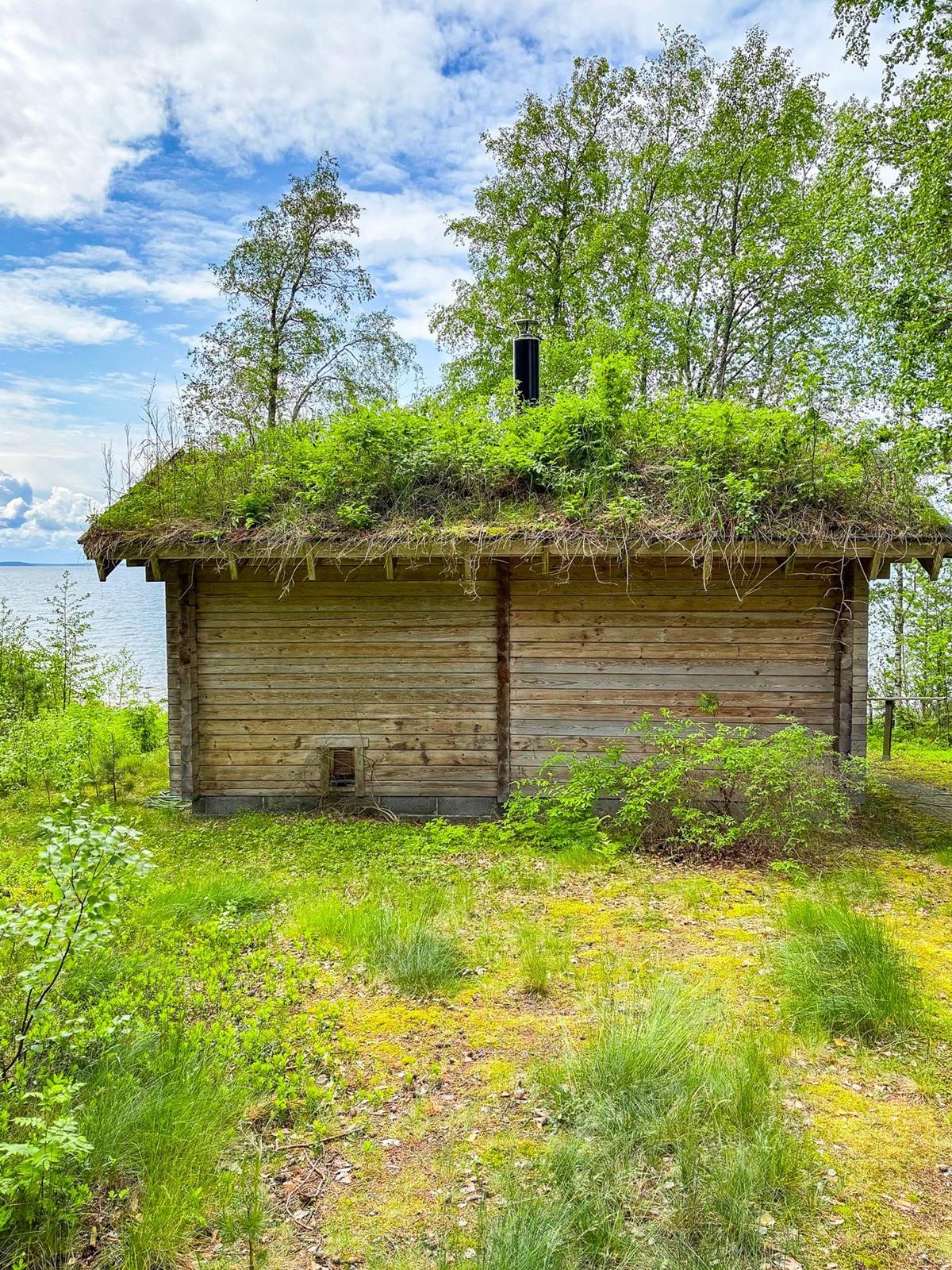 Kohdekuva 31