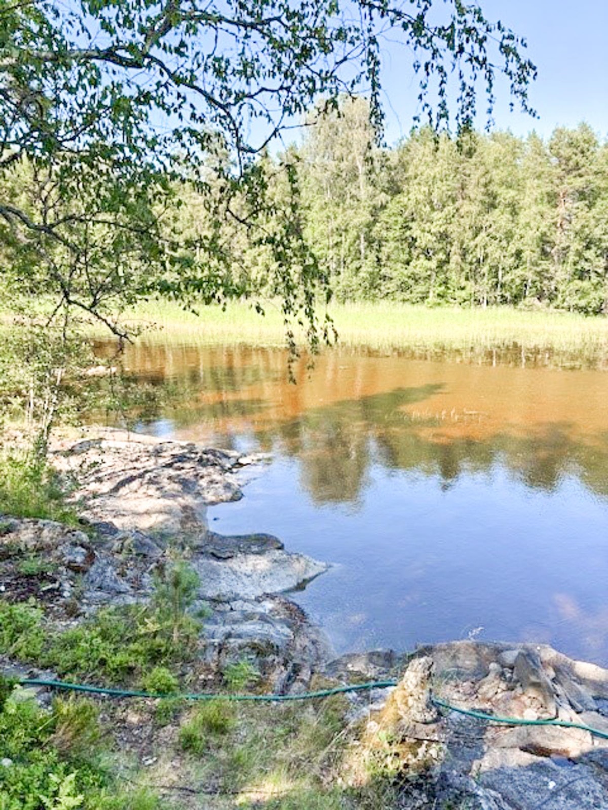 Kohdekuva 12