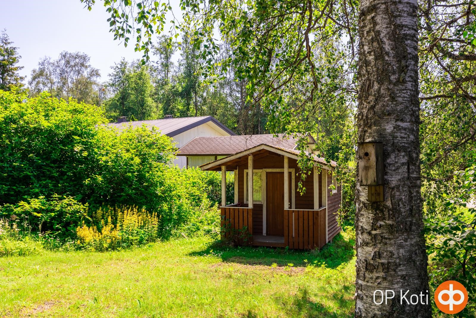 Kohdekuva 19