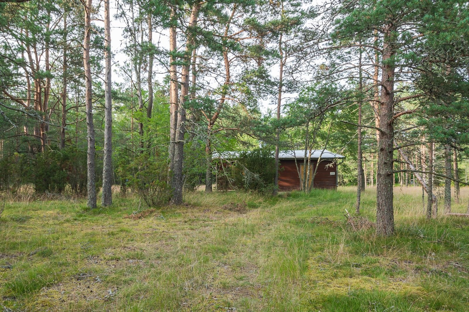 Kohdekuva 12