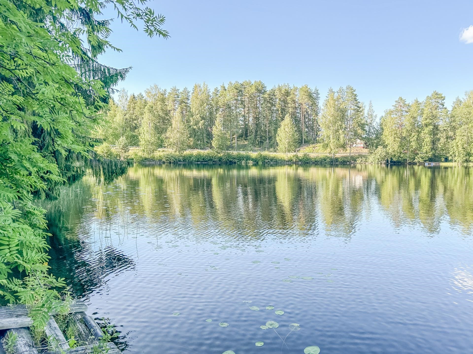 Kohdekuva 19