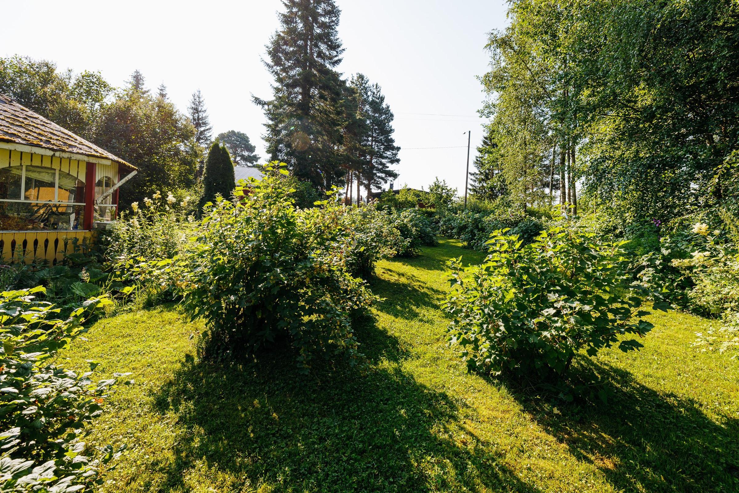 Kohdekuva 30