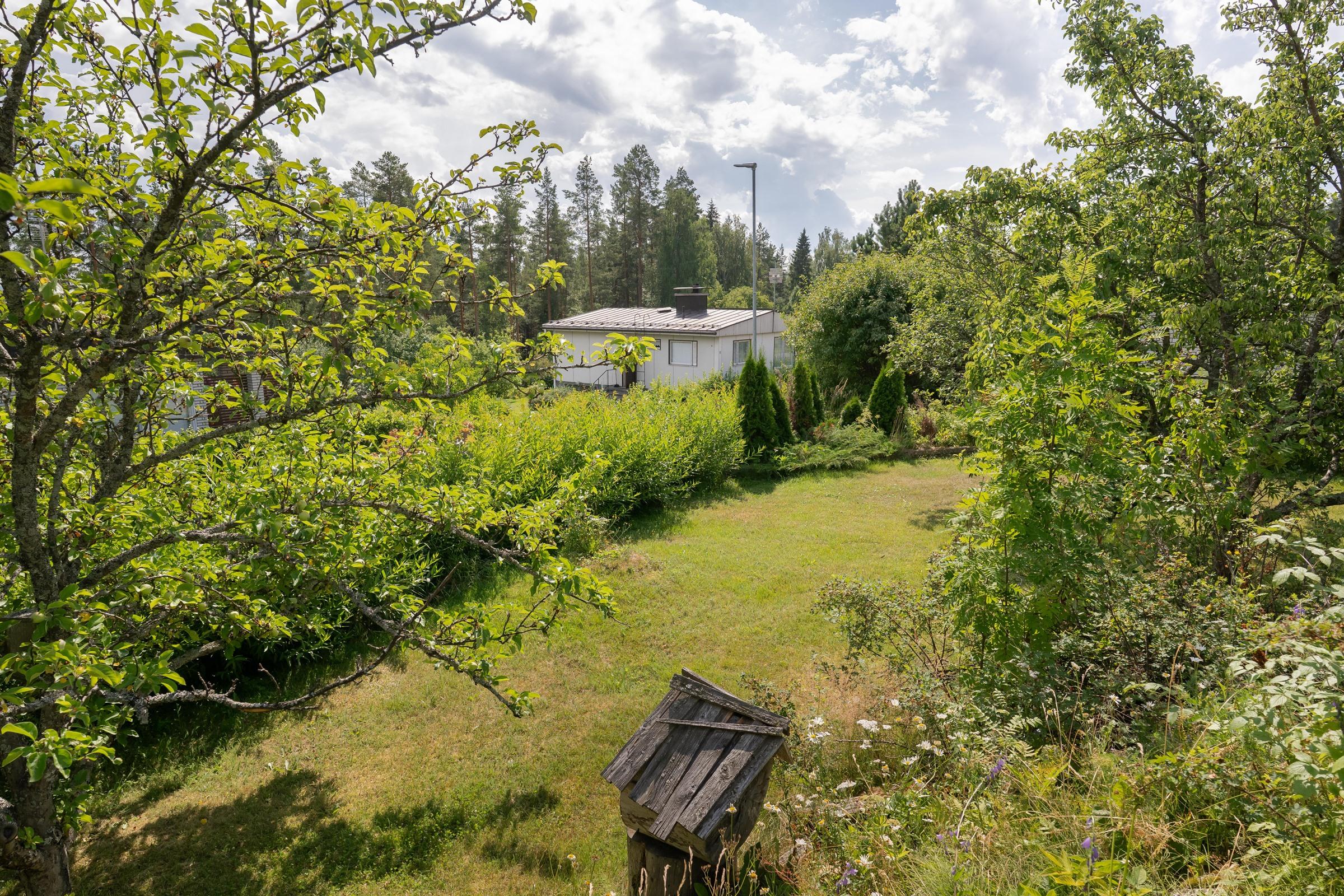 Kohdekuva 35