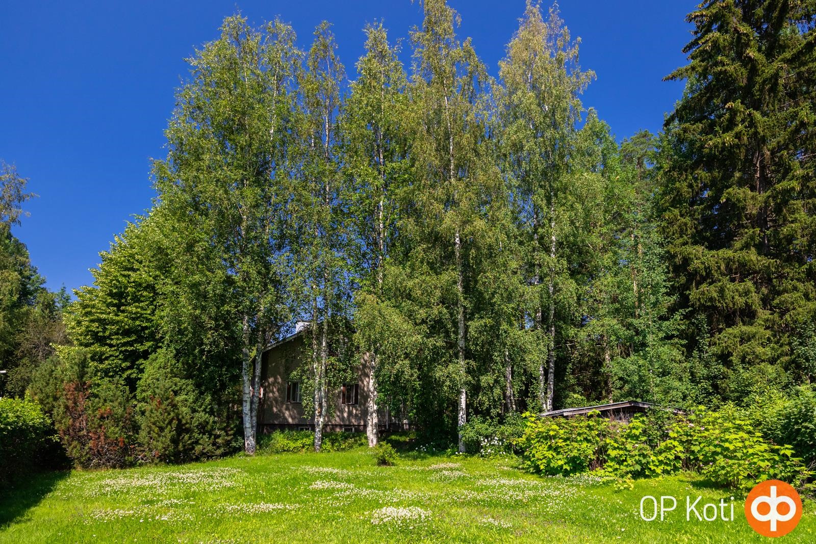 Kohdekuva 35