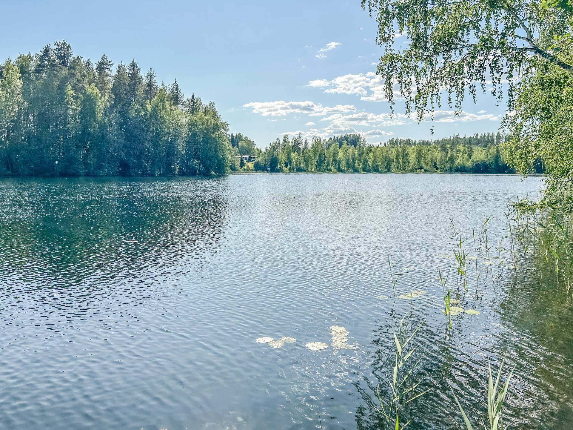 Kohdekuva 5