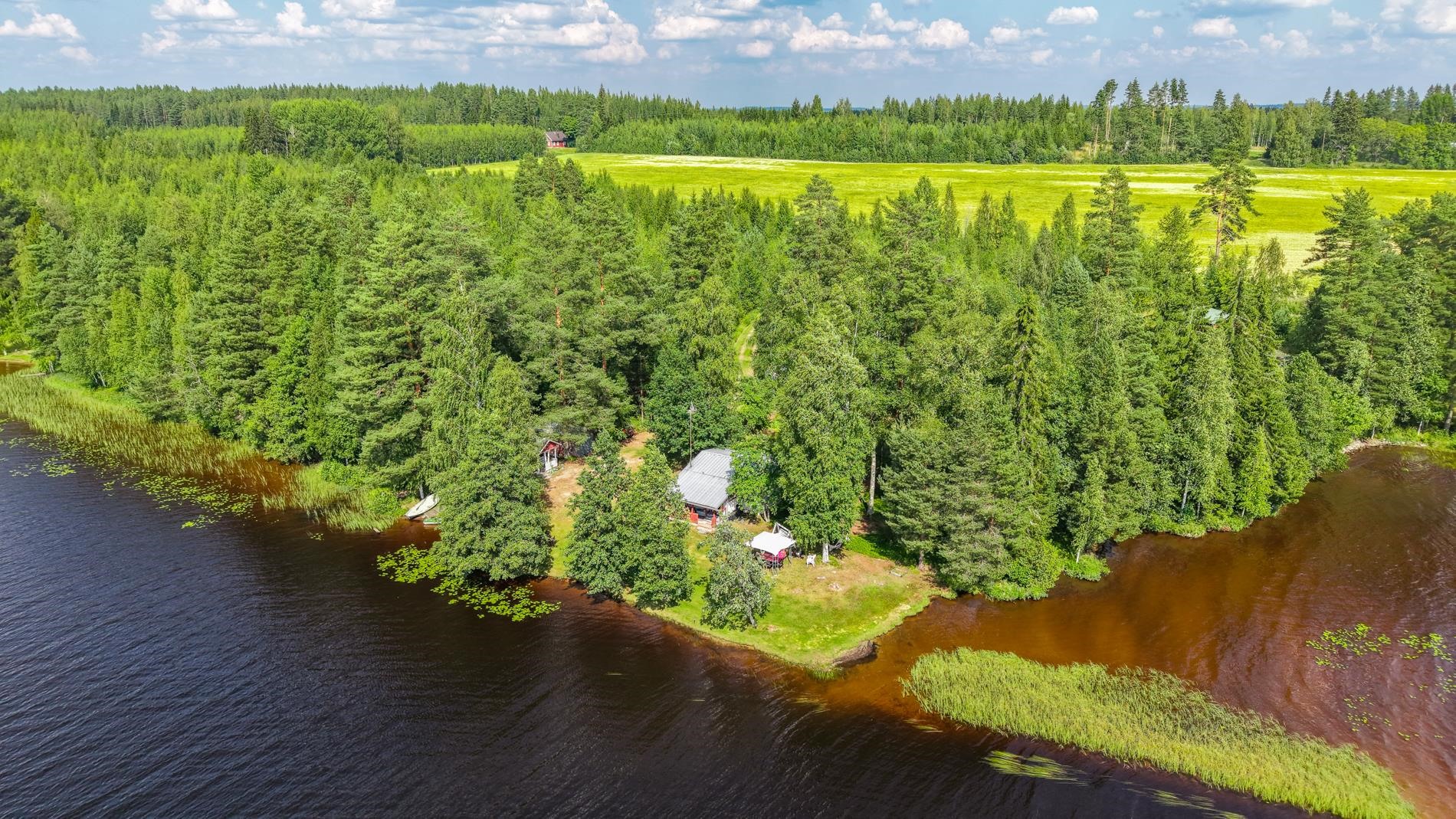 Kohdekuva 49
