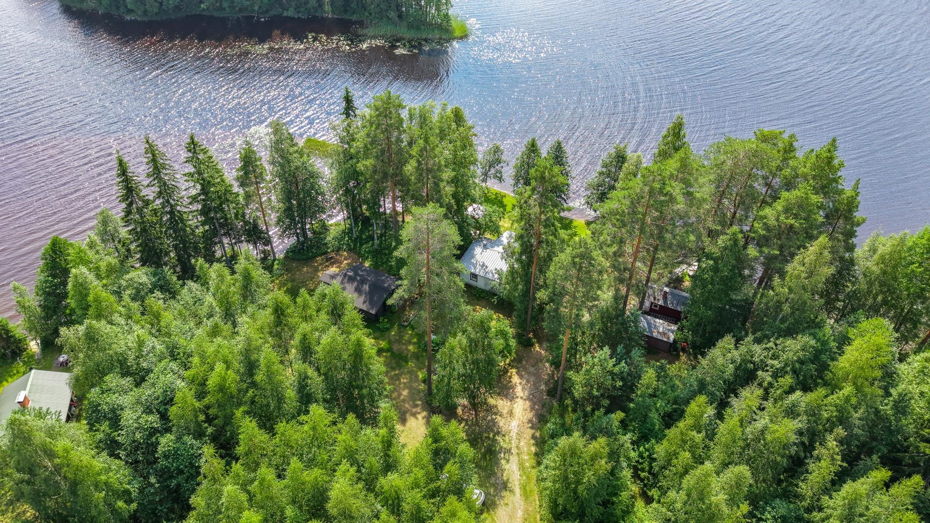 Kohdekuva 50