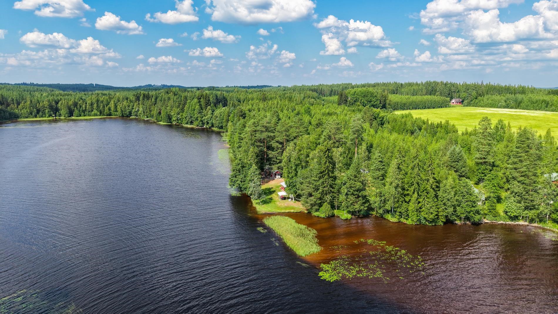 Kohdekuva 46