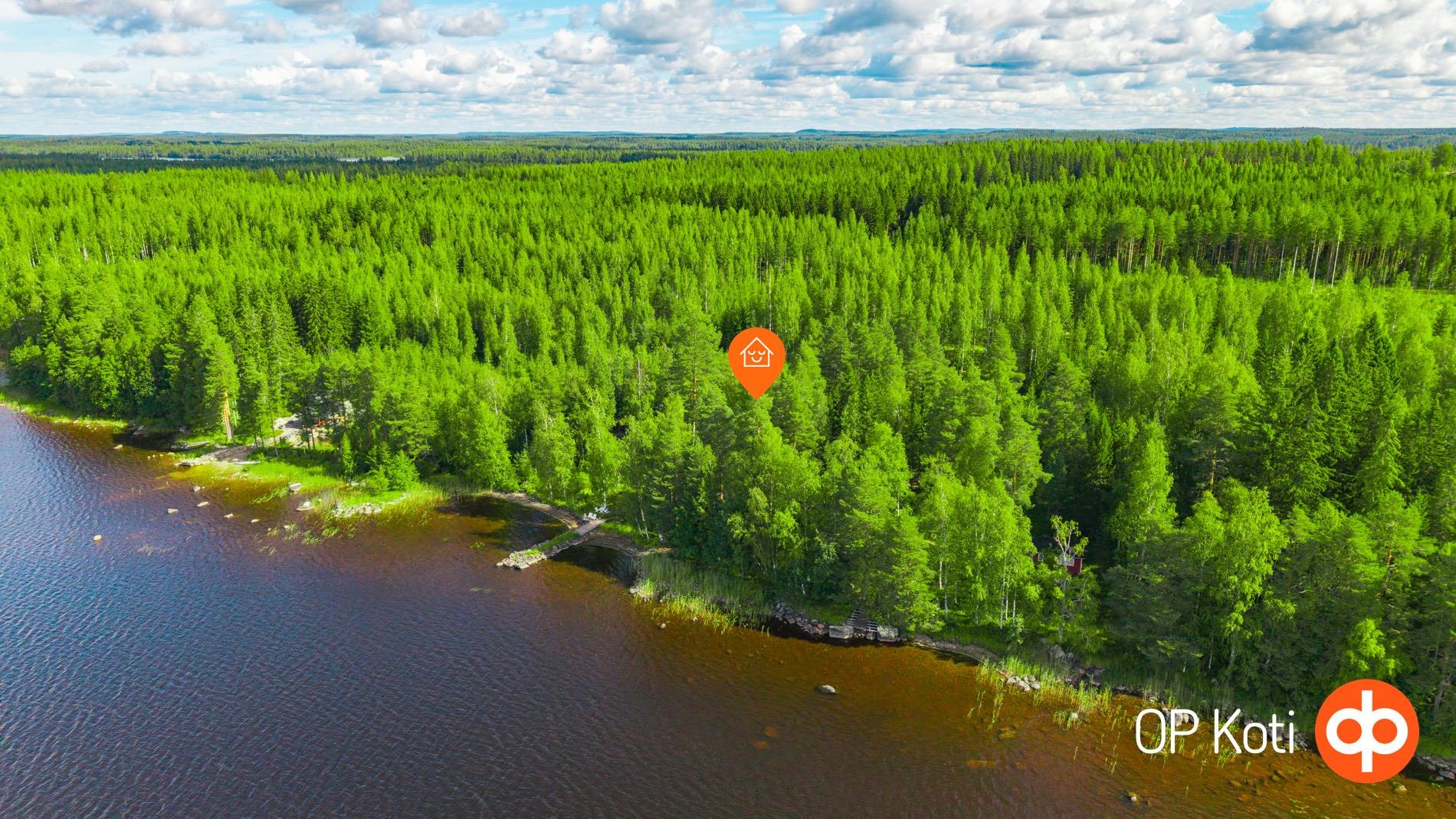 Kohdekuva 50