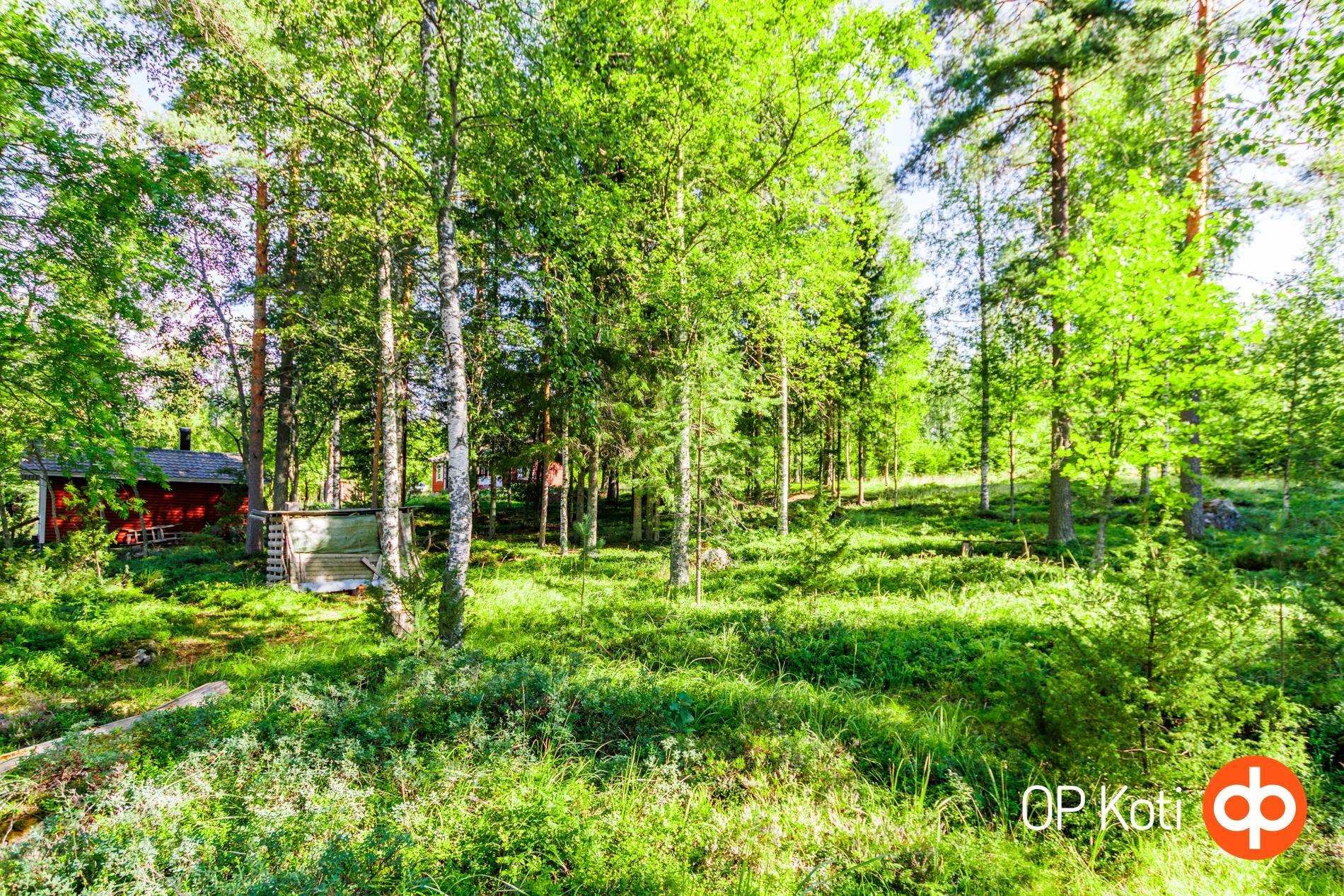 Kohdekuva 30