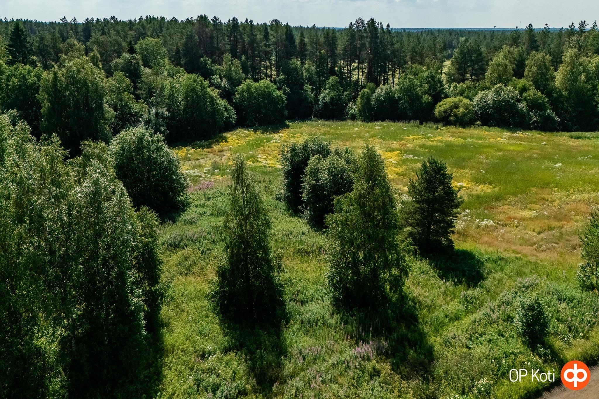 Kohdekuva 5